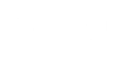 Organizador 2